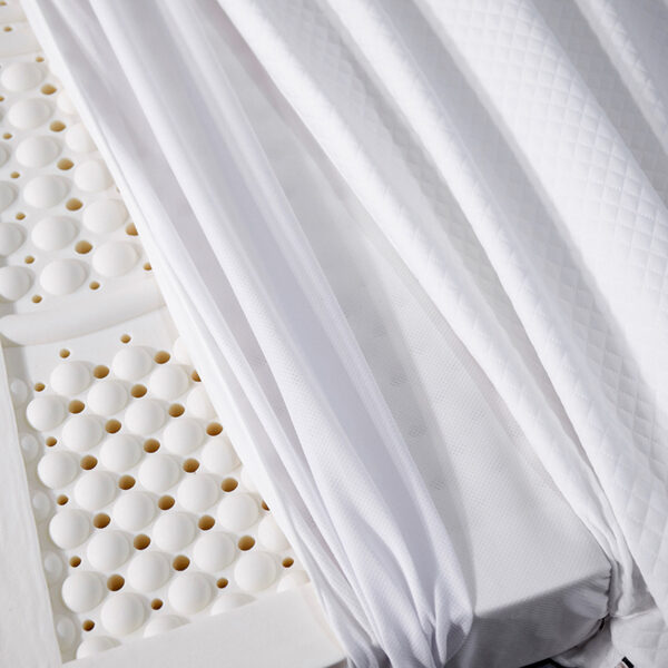 Natural Latex Mattress Batch Students Simmons Home Tatami Mat - Image 5